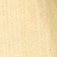 Poplar